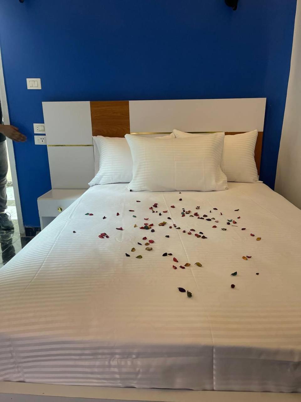 Hotel Future 2*
